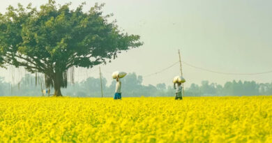 मध्यप्रदेश: सर्वश्रेष्ठ कृषक पुरस्कार के लिए 30 मई तक मांगे आवेदन, विजेता किसानों को मिलेगी सम्मान राशि