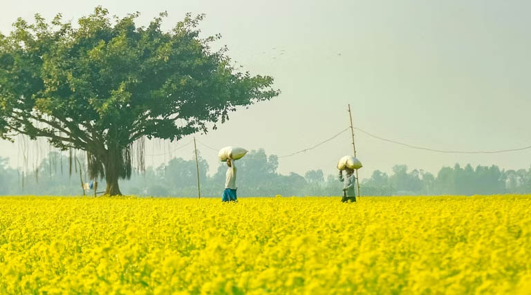मध्यप्रदेश: सर्वश्रेष्ठ कृषक पुरस्कार के लिए 30 मई तक मांगे आवेदन, विजेता किसानों को मिलेगी सम्मान राशि