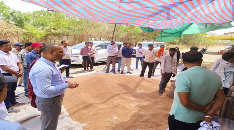 झाबुआ कलेक्टर ने मेघनगर उपार्जन केंद्र का किया निरीक्षण