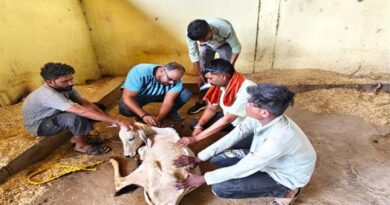 नरसिंहपुर: खमरिया गौशाला में पशु स्वास्थ्य शिविर का आयोजन