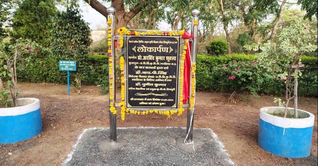शिवपुरी: मूंगफली उत्पादन के लिए लाभकारी होगा सीड हब - कुलगुरु शुक्ला