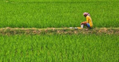 वृंदावन ग्राम देहरी में किसान चौपाल का आयोजन