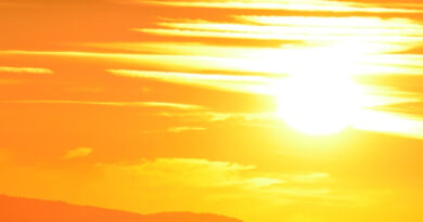 भीषण गर्मी से तप रहा मध्यप्रदेश: राजगढ़ में पारा 45°C पहुंचा, दतिया-भिंड समेत कई जिलों में तीव्र लू की चेतावनी  