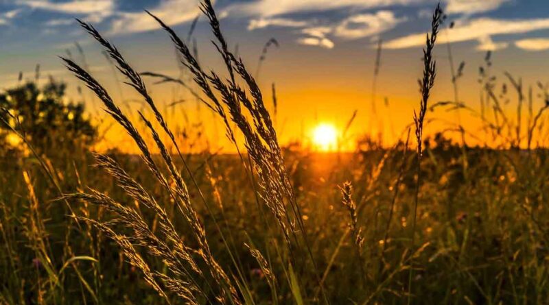 देशभर में भीषण गर्मी का कहर, यूपी के बांदा में पारा 48.2°C पहुंचा; अगले 5 दिन उत्तर और मध्य भारत में राहत के आसार नहीं