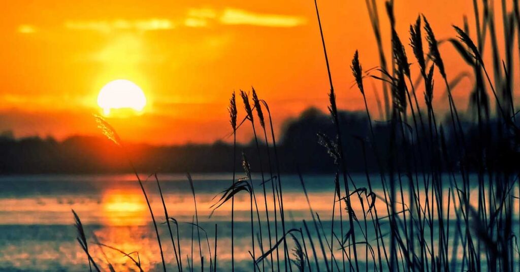IMD Alert: देश के कई राज्यों में प्रचंड गर्मी का प्रकोप, बांदा में पारा 48°C पहुंचा; दिल्ली समेत उत्तर भारत में हीटवेव का अलर्ट