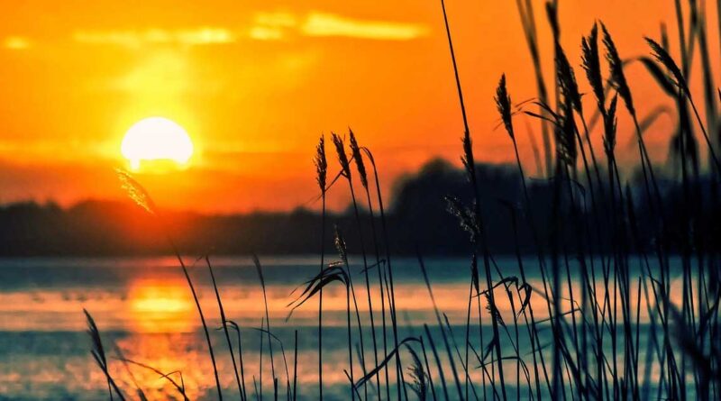 IMD Alert: देश के कई राज्यों में प्रचंड गर्मी का प्रकोप, बांदा में पारा 48°C पहुंचा; दिल्ली समेत उत्तर भारत में हीटवेव का अलर्ट