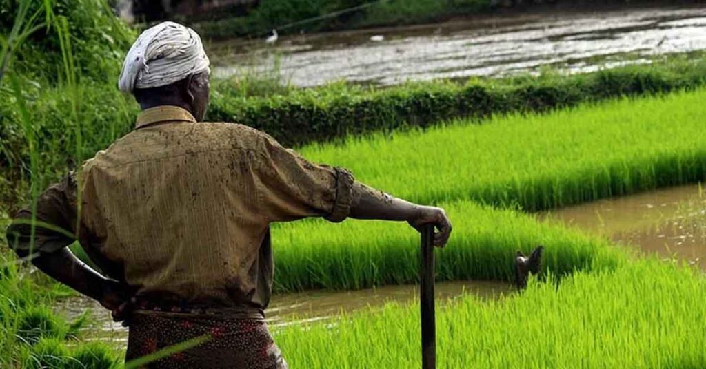 सीएटी के संचालक का स्थानांतरण, डी.एल. कोरी को अतिरिक्त प्रभार