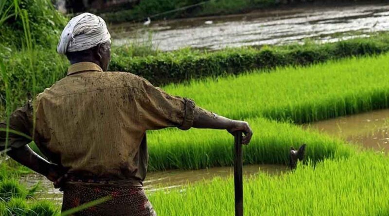 सीएटी के संचालक का स्थानांतरण, डी.एल. कोरी को अतिरिक्त प्रभार