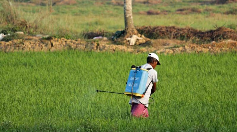 कीटनाशक पर प्रतिबंध से किसान आत्महत्याएं नहीं रुकेंगी: क्रॉपलाइफ इंडिया*