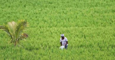 सामान्य वर्षा से केवल 5% बदलाव पर भी 810 किसान आत्महत्याएं: 2023 की IIED रिपोर्ट में जलवायु संकट और कृषि संकट का संबंध उजागर