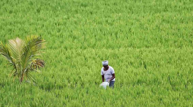 सामान्य वर्षा से केवल 5% बदलाव पर भी 810 किसान आत्महत्याएं: 2023 की IIED रिपोर्ट में जलवायु संकट और कृषि संकट का संबंध उजागर