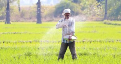 रासायनिक उर्वरकों की नई विक्रय दरें निर्धारित