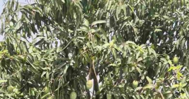 राजस्थान: सवाई माधोपुर के दो प्रगतिशील किसान राज्य स्तरीय कृषक पुरस्कार के लिए चयनित  