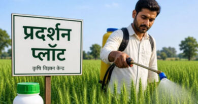 नैनो उर्वरकों की जबरन बिक्री पर रोक, सरकार ने जारी किए नए निर्देश
