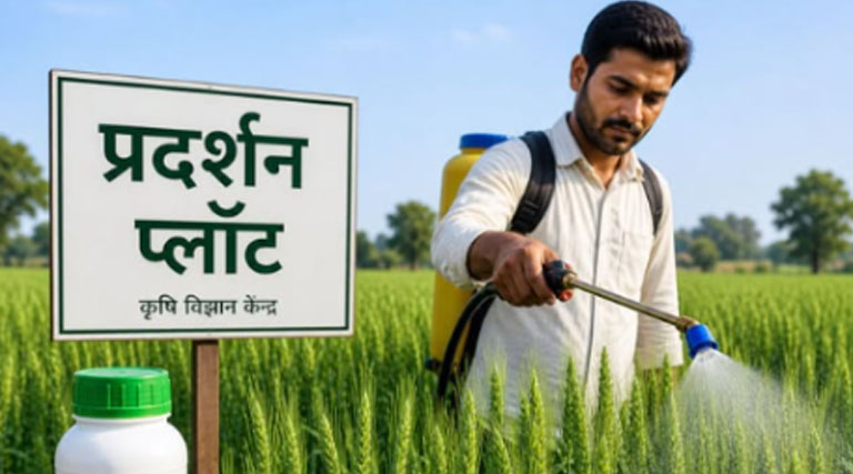 नैनो उर्वरकों की जबरन बिक्री पर रोक, सरकार ने जारी किए नए निर्देश