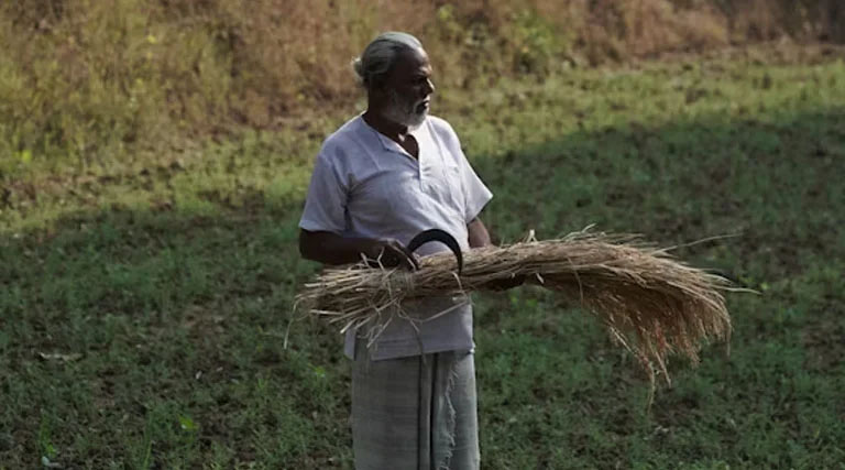 मंदसौर कृषि उपज मंडी में किसान ने दिखाई ईमानदारी