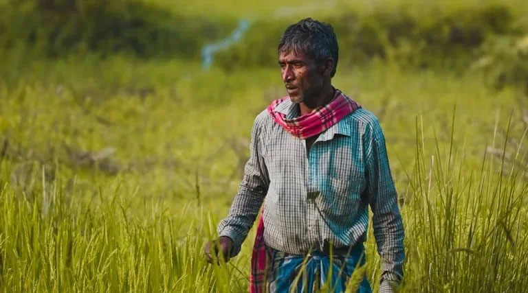 कृषि मंडी चौरई के प्रयास से 64 किसानों को मिला न्याय, मिलेंगे 96 लाख रुपए