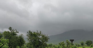 देशभर में बदला मौसम: तमिलनाडु-केरल में आंधी-बारिश का अलर्ट, राजस्थान-गुजरात में लू की चेतावनी; देखें अपने शहर का हाल