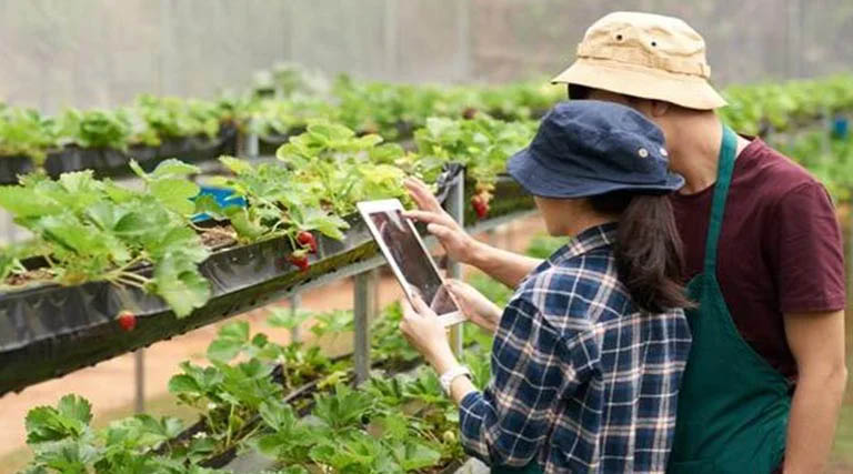 छत्तीसगढ़ में आधुनिक खेती को बढ़ावा, 24 हजार से ज्यादा किसानों को मिला उन्नत कृषि यंत्रों का लाभ