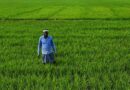 आलीराजपुर: ई-टोकन से किसान एक साथ कर सकेंगे सभी उर्वरकों की बुकिंग