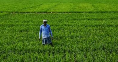 आलीराजपुर: ई-टोकन से किसान एक साथ कर सकेंगे सभी उर्वरकों की बुकिंग