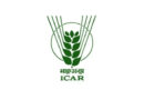 किसानों के लिए खुशखबरी: ICAR ने विकसित की ‘प्रगति’ हल्दी किस्म, कम समय में देगी ज्यादा उपज और बेहतर मुनाफा
