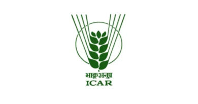 किसानों के लिए खुशखबरी: ICAR ने विकसित की ‘प्रगति’ हल्दी किस्म, कम समय में देगी ज्यादा उपज और बेहतर मुनाफा