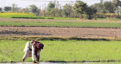 मुरैना: फार्मर रजिस्ट्री एवं बकेट क्लेमिंग के लिए 30 मई तक लगेंगे शिविर