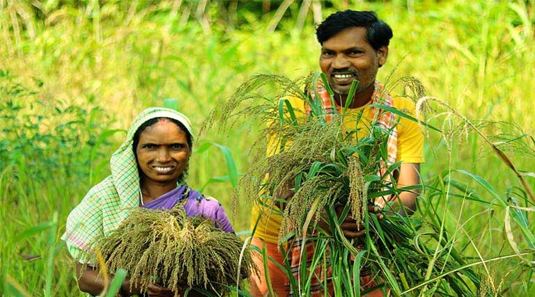 मध्यप्रदेश में ‘कृषक कल्याण वर्ष 2026’ मिशन मोड में लागू, 27,746 करोड़ का पैकेज मंजूर