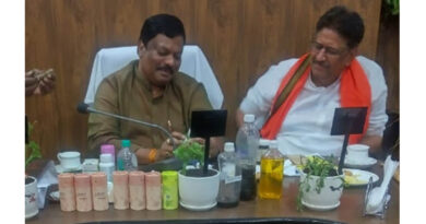 किसान खेत की मेड़ पर उगाएं सतावर, छत्तीसगढ़ सरकार दे रही मुफ्त पौधे और कमाई की गारंटी  