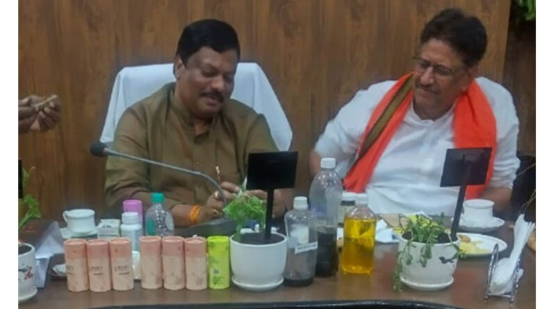 किसान खेत की मेड़ पर उगाएं सतावर, छत्तीसगढ़ सरकार दे रही मुफ्त पौधे और कमाई की गारंटी  