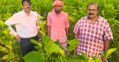 रायपुर: रेशम पालन से किसानों की आय में शानदार उछाल, सिर्फ 1 एकड़ में की 1.5 लाख की कमाई
