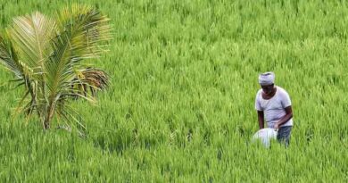 नरसिंहपुर: हितग्राहियों की ई- केवाईसी पूर्ण करने की समय सीमा 30 जून तय