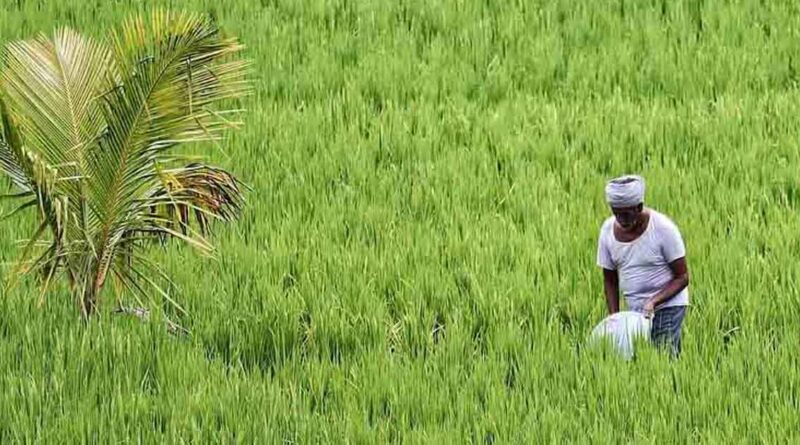 नरसिंहपुर: हितग्राहियों की ई- केवाईसी पूर्ण करने की समय सीमा 30 जून तय