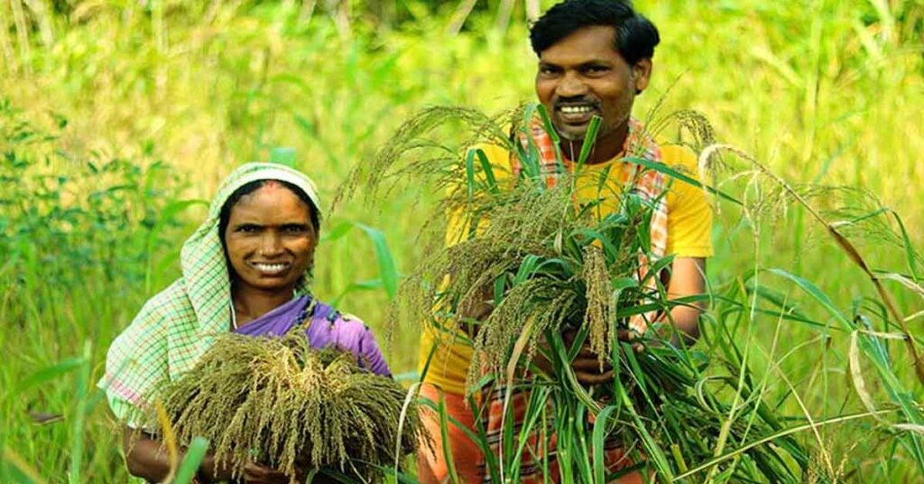 सीधी: कृषि विज्ञान केन्द्र ने कृषकों को जारी की एडवाइजरी  