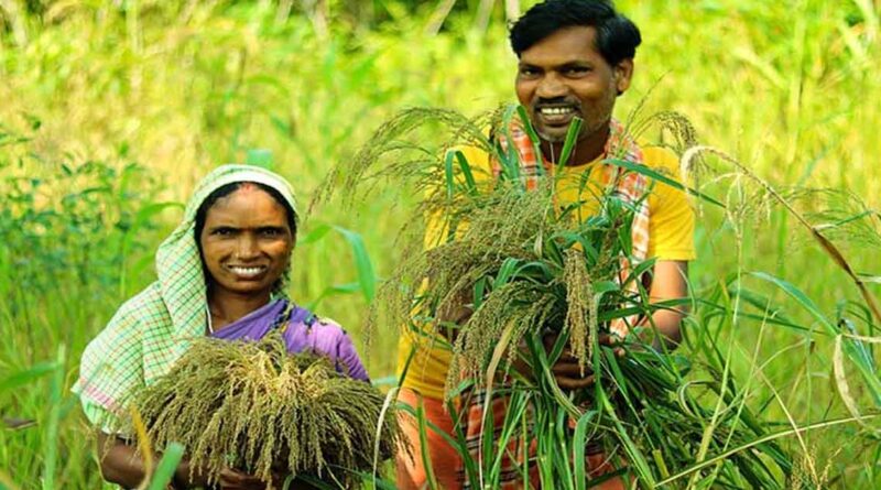 सीधी: कृषि विज्ञान केन्द्र ने कृषकों को जारी की एडवाइजरी  