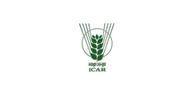 ICAR-आईजीएफआरआई ने विकसित की नई लूसर्न किस्म, देगी 90 टन प्रति हेक्टेयर तक हरा चारा उत्पादन  