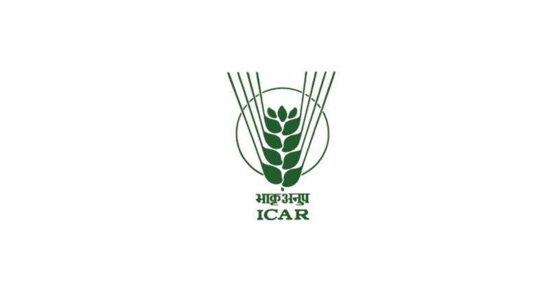 ICAR-आईजीएफआरआई ने विकसित की नई लूसर्न किस्म, देगी 90 टन प्रति हेक्टेयर तक हरा चारा उत्पादन  