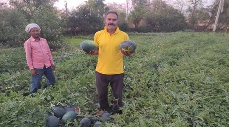 तरबूज की खेती से मालामाल हुआ किसान! सिर्फ 2 महीने में की 2 लाख की तगड़ी कमाई, जानिए कैसे  