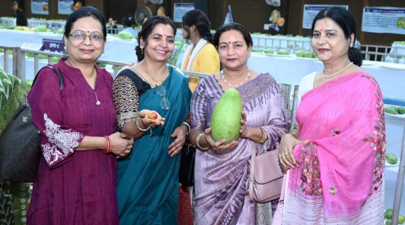 रायपुर मैंगो फेस्टिवल में आमों का जादू, अल्फांसो से दशहरी तक की किस्मों ने लूटी महफिल