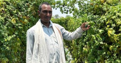 वाटरशेड योजना का कमाल: 1.5 एकड़ में भिंडी, करेला और बैंगन उगाकर किसान छबी लाल बने आत्मनिर्भर, आय में हुआ बड़ा इजाफा