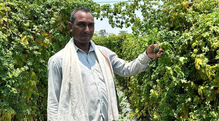 वाटरशेड योजना का कमाल: 1.5 एकड़ में भिंडी, करेला और बैंगन उगाकर किसान छबी लाल बने आत्मनिर्भर, आय में हुआ बड़ा इजाफा