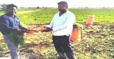 मध्यप्रदेश: इटैलियन गाजर की खेती से लखपति बने देवास के किसान, एक सीजन में कमाया 5 लाख का मोटा मुनाफा