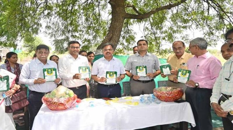 जवाहरलाल नेहरू कृषि वि.वि में तैयार हो रहे हाइब्रिड बीज, किसानों को मिलेगा अधिक उत्पादन और बेहतर मुनाफा  