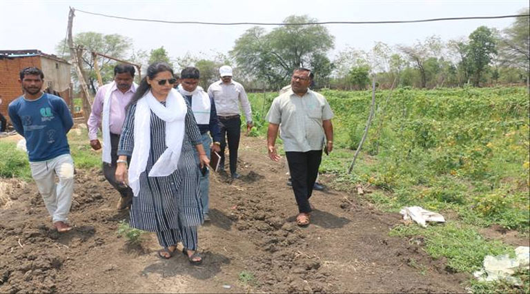 उमरिया कलेक्टर ने खेतों पर पहुंचकर किसानों से किया संवाद, कस्टम हायरिंग सेंटर व सब्जी उत्पादन का लिया जायजा