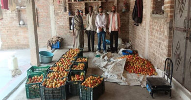 मध्यप्रदेश: सब्जी उत्पादन से चमकी किसान की किस्मत, अब सालाना कमा रहे 5 से 6 लाख रुपये  