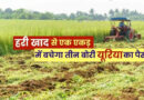 हरी खाद से बदलेगी खेती की तस्वीर, मिट्टी की उर्वरता और उत्पादन दोनों में सुधार  