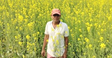 रायपुर: सरसों की खेती बनी वरदान, किसान ने कमाए 1.42 लाख रुपये, बदली किस्मत  