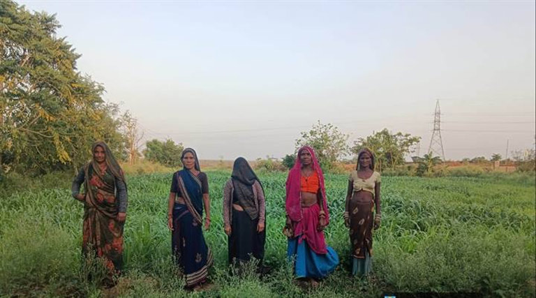 मध्यप्रदेश: श्योपुर की गौशालाएं बनी आत्मनिर्भरता की मिसाल, महिलाओं को सब्जी-दूध से बढ़ी अतिरिक्त आय  