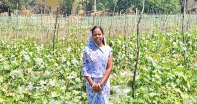रायपुर: खीरा-करेले की खेती ने बदली महिला किसान की किस्मत, 40 हजार की लागत  में कमाया 1.5 लाख मुनाफा; जानें कैसे